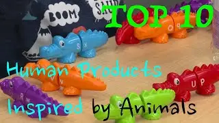Top 10 Human Products Inspired by Animals