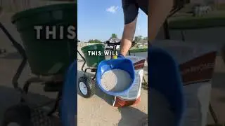 The lawn makeover is finally complete!! Got my Black Beauty Seed down and packed in|Tiktok:@PharmDad