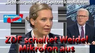 Wie Alice Weidel (AfD) der Ton abgedreht wird, als sie etwas Wichtiges sagt