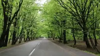 Qebele Ismayıllı yolu #qebele #ismayilli