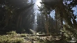 Realtime Gameplay  Realistic Forest Path Unreal Engine 5.3  Lumen Quixel