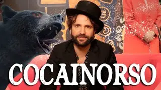 La vera storia di COCAINORSO e i suoi fantastici amici