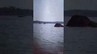 Челюсти (JAWS)