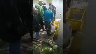 Отправить(2)