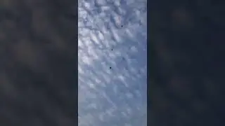 Николаевские голуби в донецком небе
