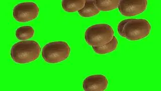 Falling Kiwi Fruit Green Screen in HD