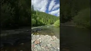Сибирь, север, природа, тайга.  #Север  #природа  #путешествия  #красота  #тайга