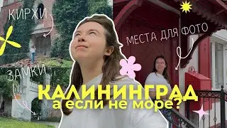 Поездка в Железнодорожный 🏰 Замки 13 века, пряничные домики и много локаций для фото📸 Калининград