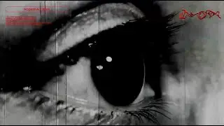 Lil Moshpit - Moshpit Only (Feat. Paul Blanco) (Official Visualizer)