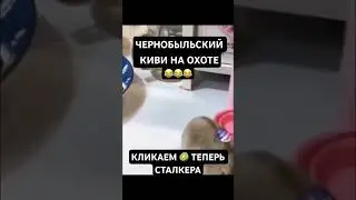 это зона братан