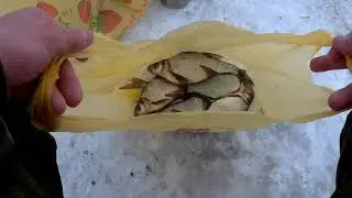 Ловля подлещика на безмотылку.