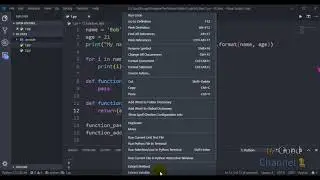 Refactoring, Extract Variable, Extract Method, Run in Terminal - course VS Code & Python