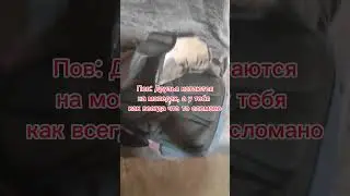 жиза для каждого 😅