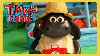 Timmy on Safari 🦁 | Timmy Time