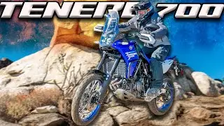 2025 Yamaha Tenere 700 Long Term Test - Cycle News