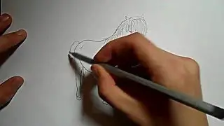 Видео: как нарисовать пони?