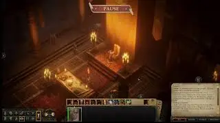 Pathfinder:Kingmaker  Fiona (Female Monk), Fan choice 