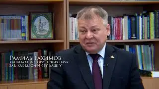 Сибирское ханство и Башкирия