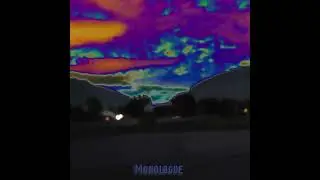 Trip