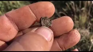 Такой коп бывает у каждого копателя! Только честный