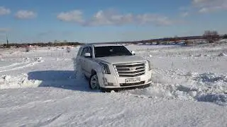cadillac escalade platinum 60fps