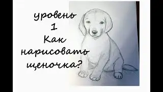 УРОВЕНЬ:1   Как НАРИСОВАТЬ ЩЕНКА?