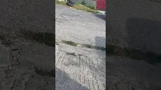 Ниссан самосвал (Сочи 2024) #PEREGRUZ