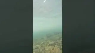 море ✌️🌊 