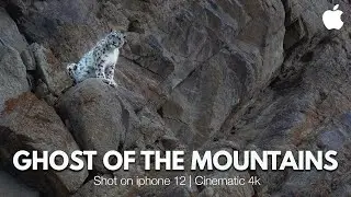 The Ghost of Mountains | Snow Leopard in Ladakh | Shot on Iphone 12 Pro | Ladakh Cinematic Film