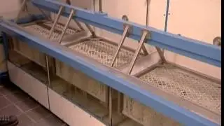 Film der gelben Seiten by Eckerl GmbH
