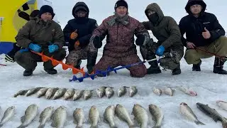 Жор СУДАКА! Закрытие по ЛЬДУ! Большой ТАРАНГУЛ.. 