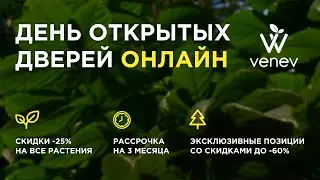 ОНЛАЙН РАСПРОДАЖА🌳 День открытых дверей в питомнике Веневе