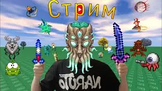 Стрим по Terraria