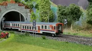 Transiti in linea FS