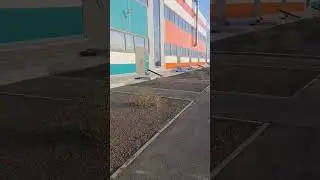 Устройство газонов за один день