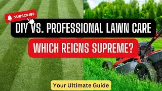 DIY vs. Professional Lawn Care: Which Reigns Supreme?