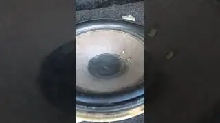 комар флексит