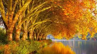 LAKE AND SPRING ANIMATED BACKGROUNDS DOWNLOAD FREE MOTION ANIMATED HD GREEN SCREEN BACKGROUNDS