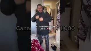 🗽🎄Canada Goose?🇨🇦 Nope!