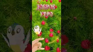#лето #длятебя #доброеутро