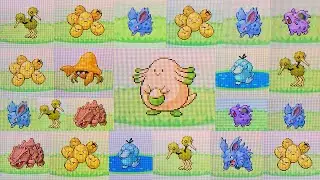 22 Shiny Pokémon in the Safari Zone! (Some Live) - Safari Week 2020 Compilation