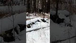 20 декабря 2023 г.