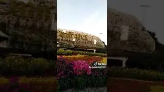 Miracle garden part 5