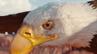 Cinematic Showreel
