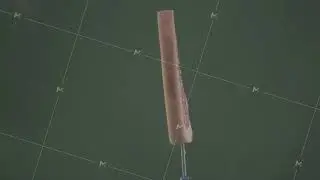 Grapefruit rotating with loop on green screen for chroma key