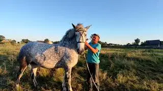 Наша 🌟 Кобылица5 лет👍