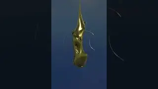 Apple 🍏 Gold 