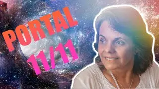 Portal 11/11: O que é e como se conectar?