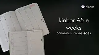 Kinbor e A5 weeks: primeiras impressões
