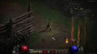 Diablo 2 Resurrected